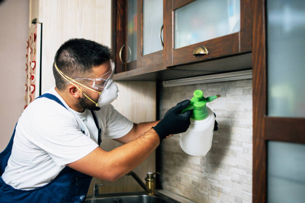 Best Residential Pest Control  in Derby, CT