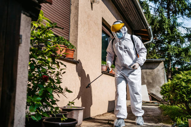 Best Pest Inspection Near Me  in Derby, CT