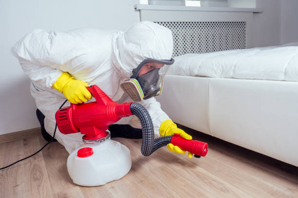 Best Pest Removal Services  in Derby, CT