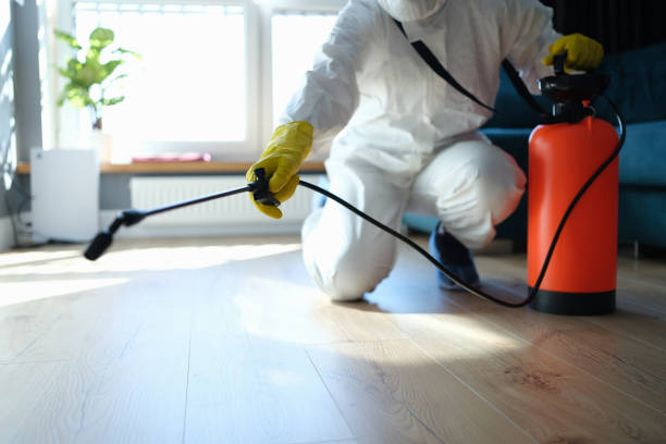Best Emergency Pest Control  in Derby, CT