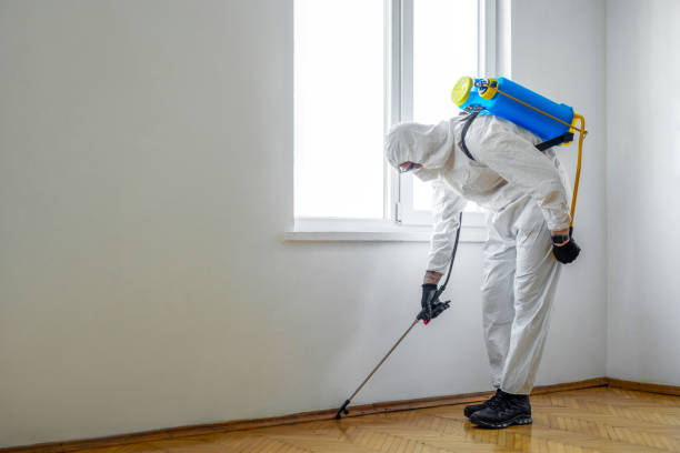 Best Mosquito Control Services  in Derby, CT