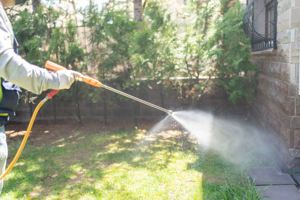 Best Affordable Pest Control Services  in Derby, CT